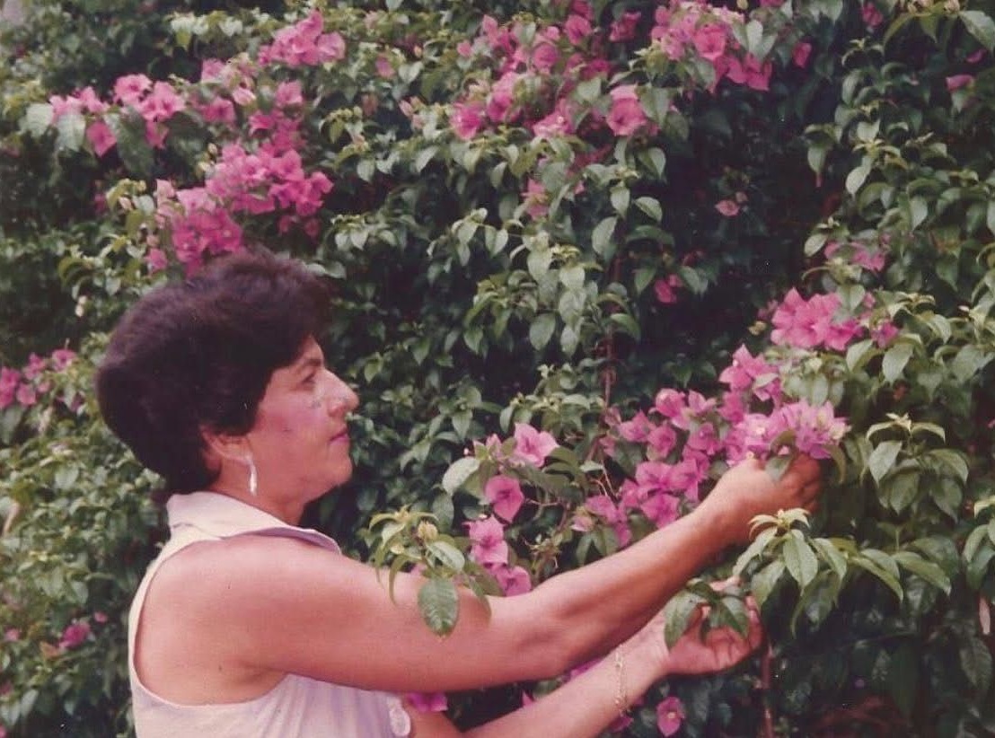 Câmara de Aparecida aprova lei que eterniza nome de ex-primeira-dama em Centro de Educação Infantil